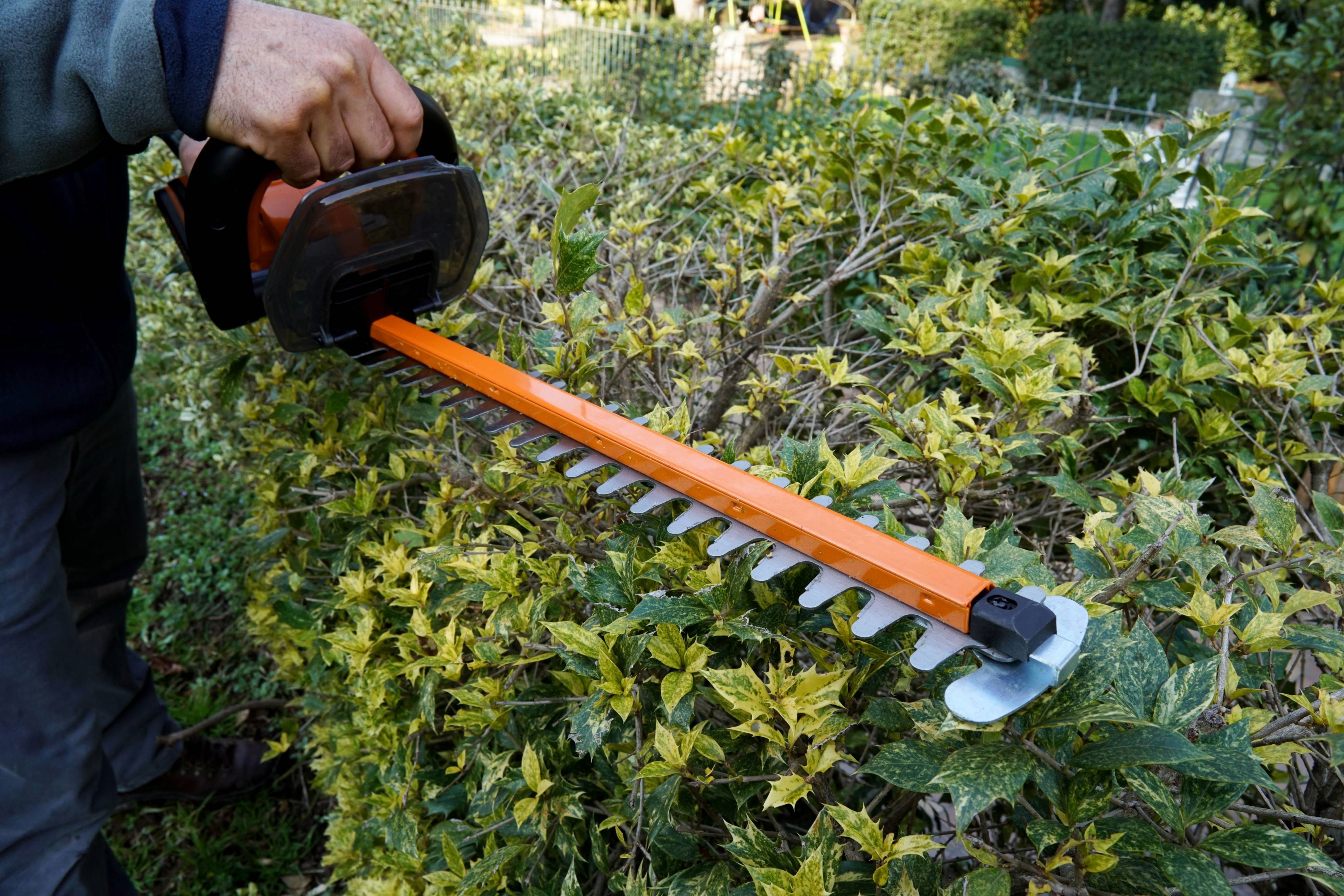 Cortasetos 44 cm 20V (S/bat)